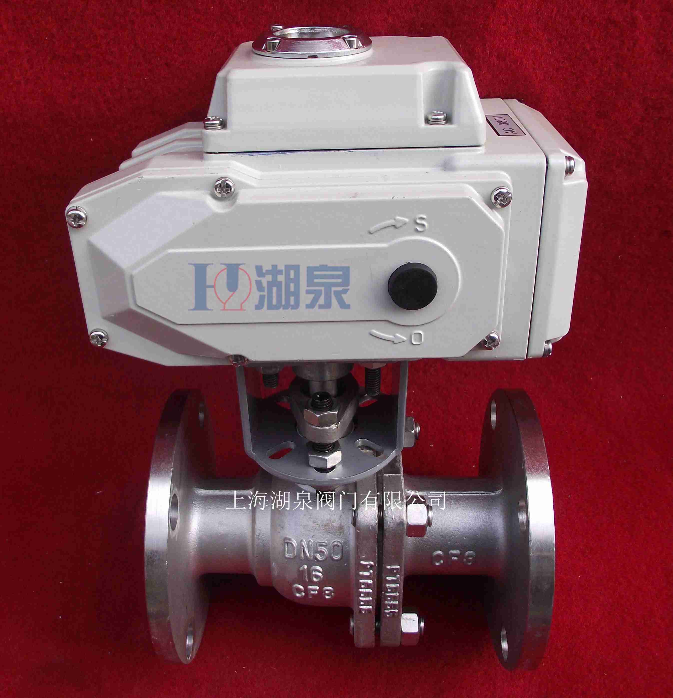 q941f 16p dn50µç¶¯Çò·§