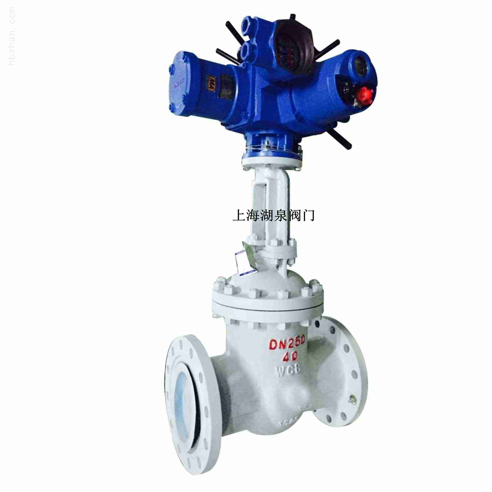 z941-40c dn250 ú֤õ綯բ