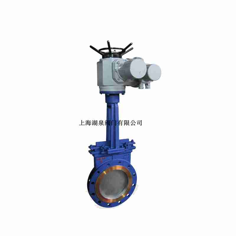 pz973h  dn200ֵ綯բ