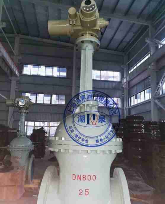 dn800綯բ