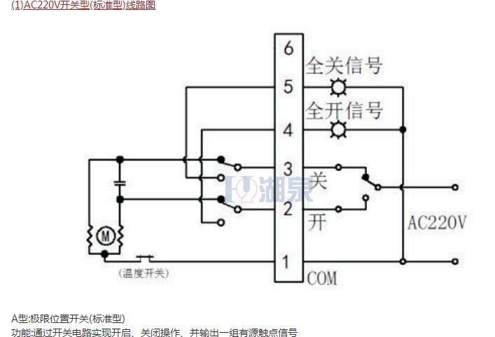 綯
