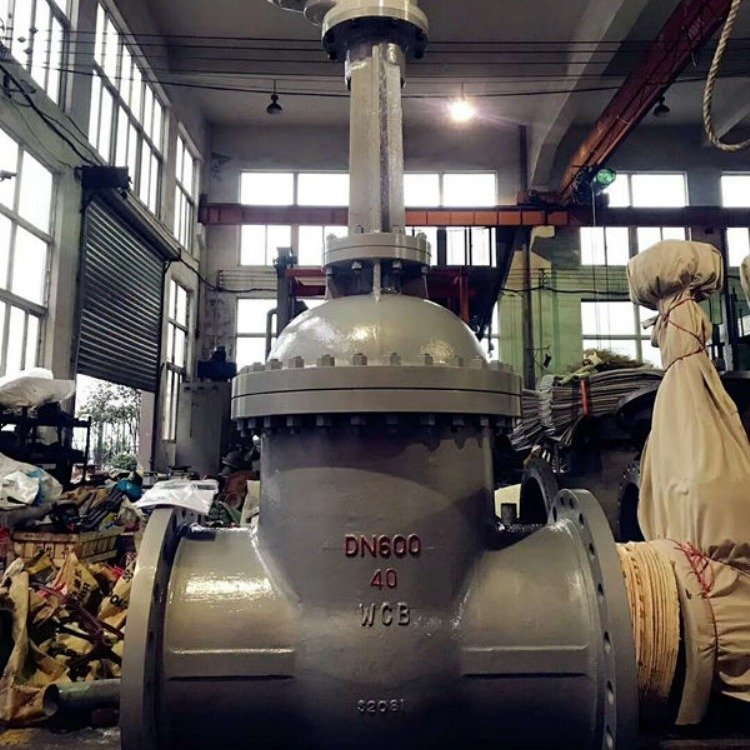 调理型电动闸阀公司z941h-25c dn600