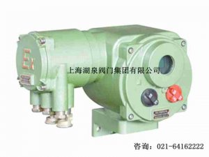 MZ941H-100 dn200÷綯ִ