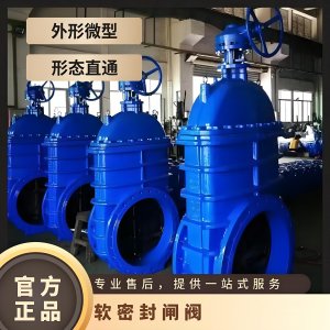 ֶբZ45X-10Q  DN500