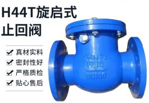 DN100ʽֹطH44T/W/X-10/16