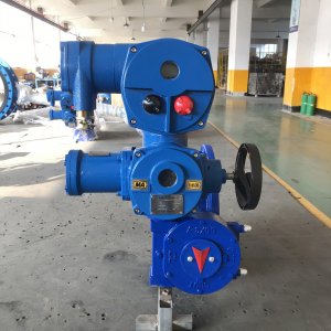 WSD943H-10Q DN600˹