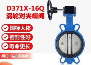 ֵD371x-1.6- DN150ṹͼ