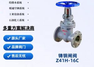 ֶբZ41H-16C DN65(׷˨Ƭ