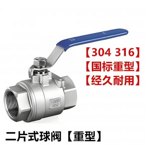 Q11F-25P DN25304