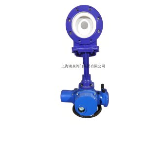 ϺAG콢PZ973-10C  DN300ϽҺרբ巧
