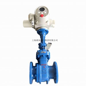 ֵһ廯綯բZ941H-64C  DN300